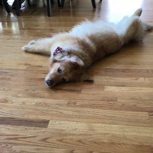 Meet your Posher, Katherine